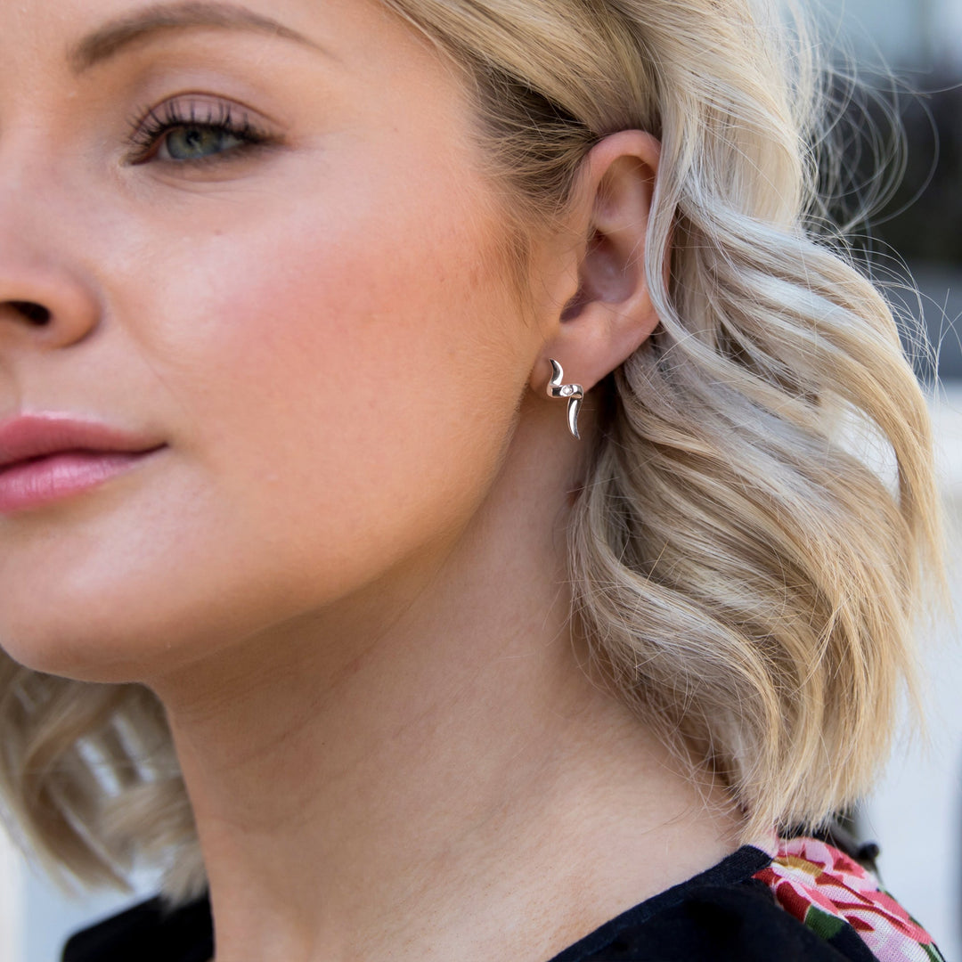 Hot Diamonds Silver Sensual Earrings - MococoHot DiamondsDE221Earrings