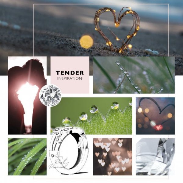 Hot Diamonds Silver Tender White Topaz Earrings - Double Drop - MococoHot DiamondsDE5865055069037004Earrings