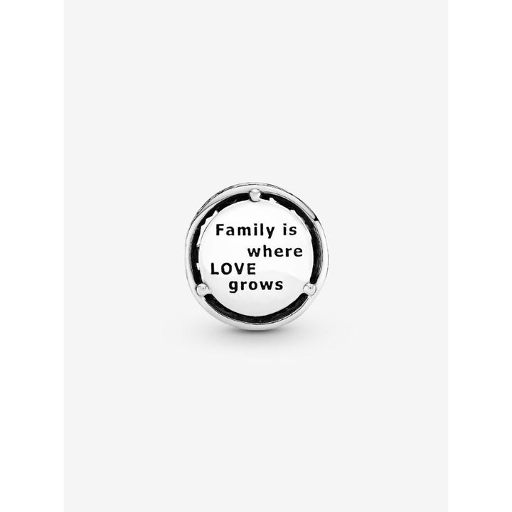 Pandora Silver Openwork Family Roots Charm 4