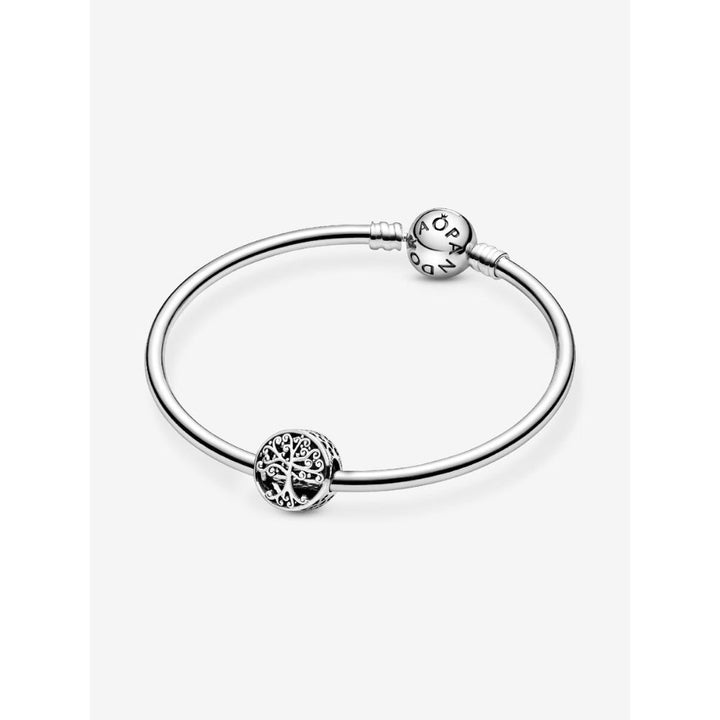 Pandora Silver Openwork Family Roots Charm 6
