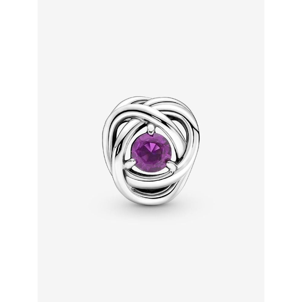 Pandora Sterling Silver February Birthstone Eternity Circle Charm Image 5
