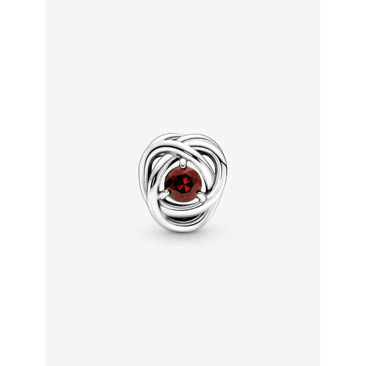 Pandora Sterling Silver January Birthstone Eternity Circle Charm Image 5