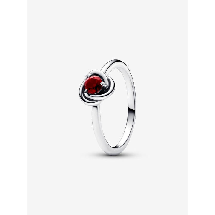 Pandora Sterling Silver January Birthstone Eternity Circle Ring Image 1