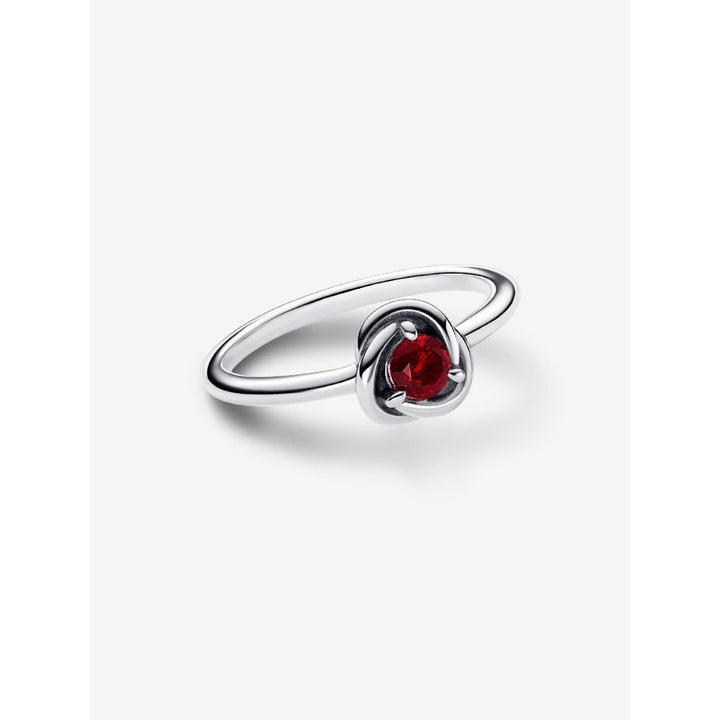 Pandora Sterling Silver January Birthstone Eternity Circle Ring Image 4