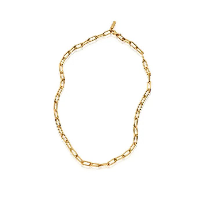 ChloBo Gold Medium Link Lariat Necklace - MococoChloBoCC - G - NE - 13 - S19507954797228Necklaces