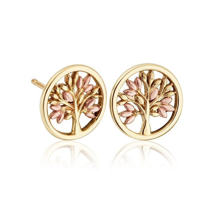 Clogau Tree of Life Gold Circle Stud Earrings - MococoClogauGTOL00095051537350620Earrings