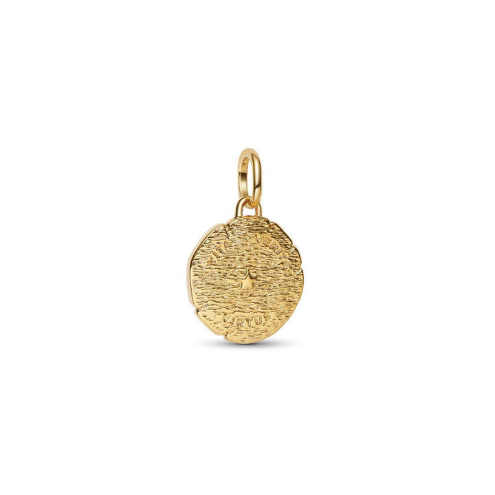 14K Gold-Plated Lion Medallion with Clear Cubic Zirconia image 5