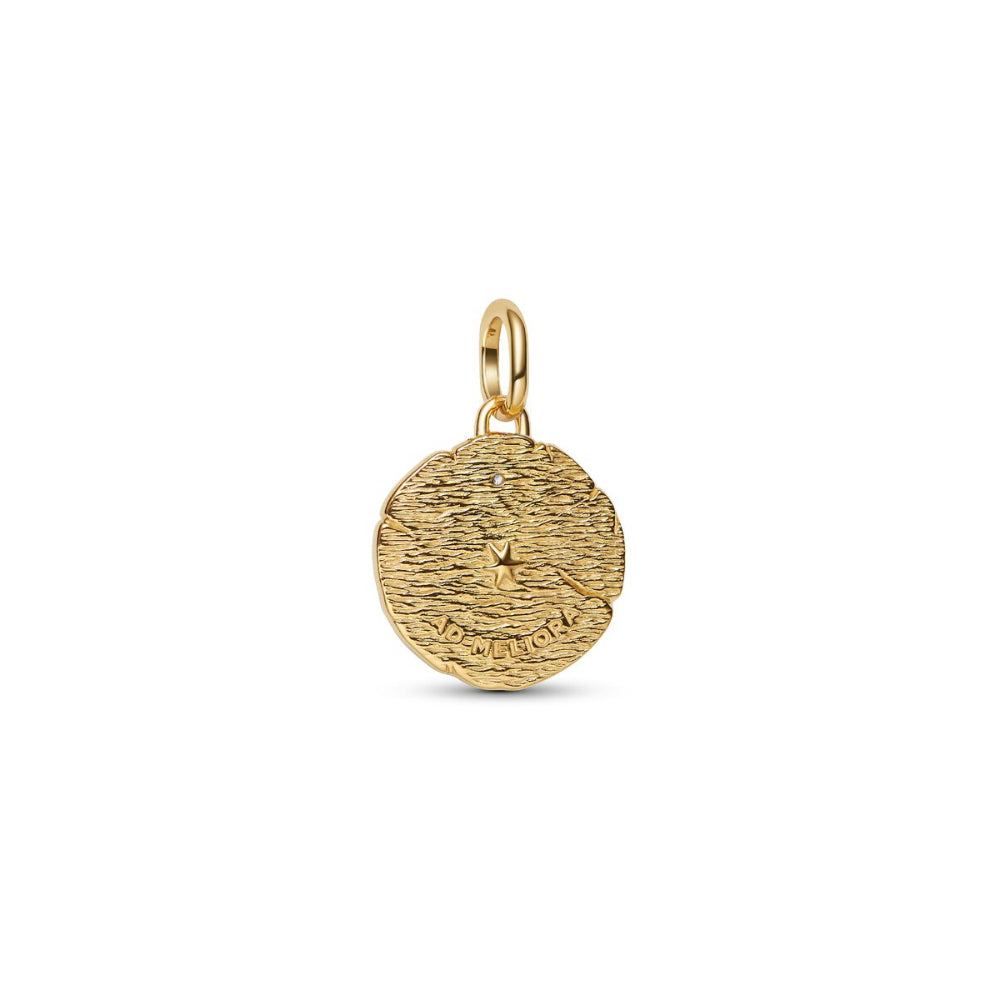 14K Gold-Plated Medallion with Crossing Arrows Sterling Silver and Clear Cubic Zirconia image 5