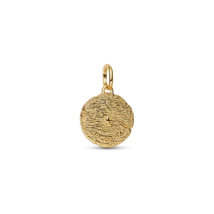 14K Gold-Plated Medallion with Crossing Arrows Sterling Silver and Clear Cubic Zirconia image 5