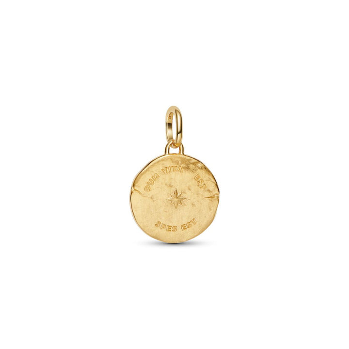 14K Gold-Plated Swallow Medallion with Clear Cubic Zirconia image 5