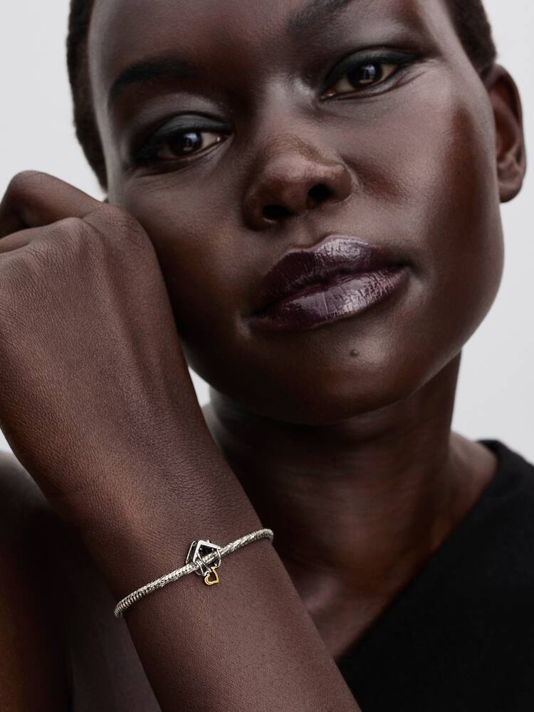 Pandora Two-Tone Home & Heart Charm