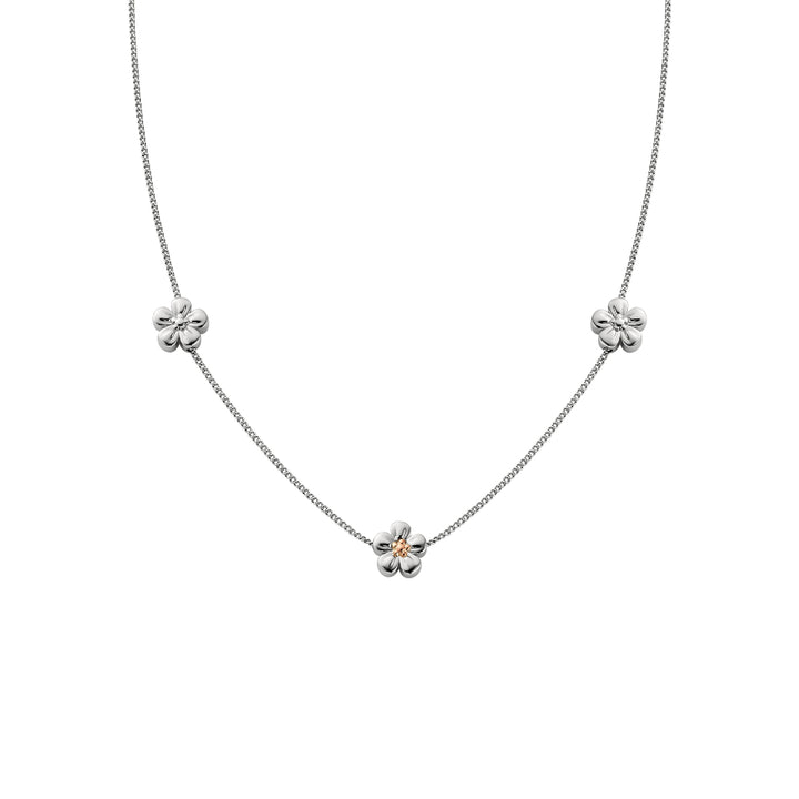 Clogau Silver Nature&