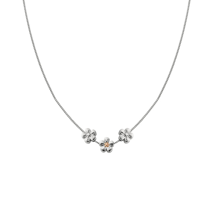 Clogau Silver Nature&