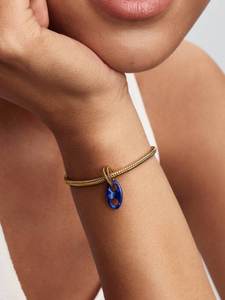Pandora Gold Mariner Link Dangle Charm