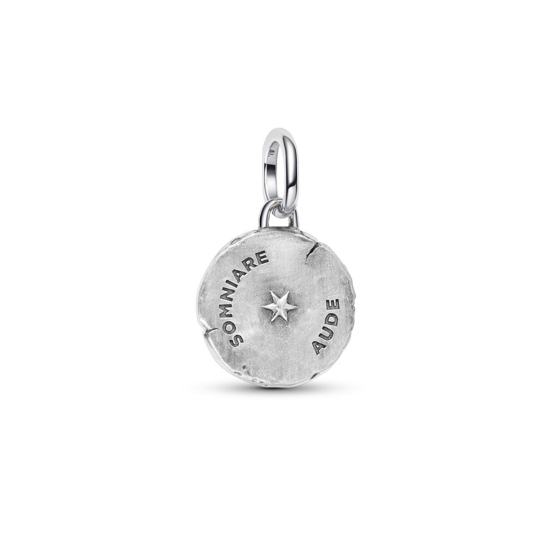 Pandora Silver and Gold Butterfly Medallion Charm
