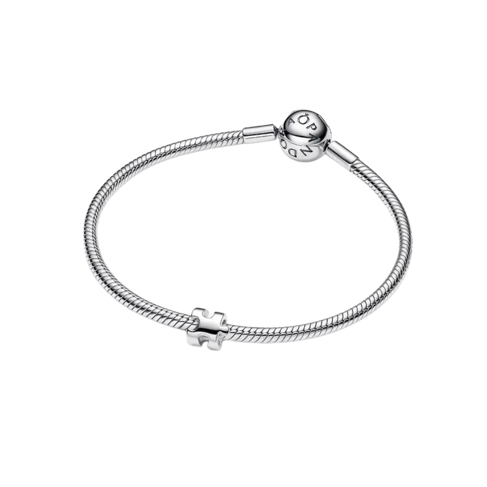 Pandora Puzzle Piece Mini Charm