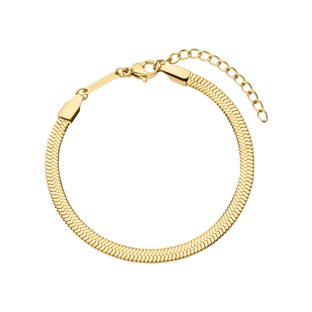 https://cdn.shopify.com/s/files/1/0481/1984/0936/files/GB006-1.jpg?v=1779787419