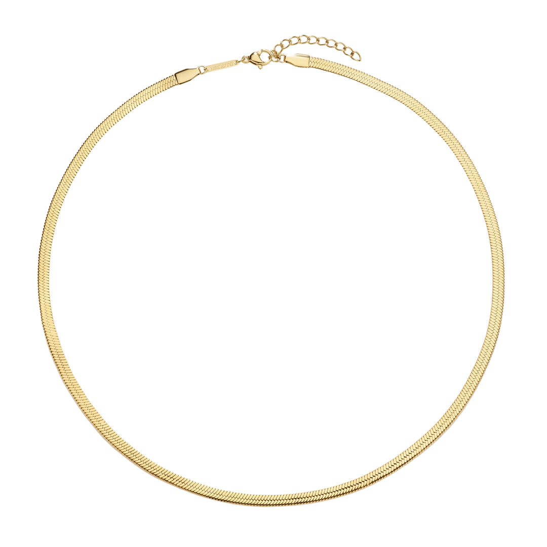 https://cdn.shopify.com/s/files/1/0481/1984/0936/files/GN-004-1.jpg?v=1779792774