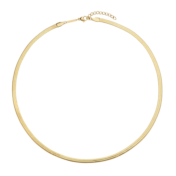https://cdn.shopify.com/s/files/1/0481/1984/0936/files/GN-004-1.jpg?v=1779792774