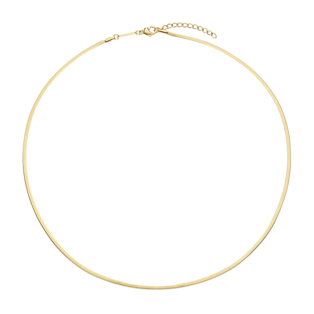 D.Louise Gold Fine Essentials Chain Necklace - Mococo