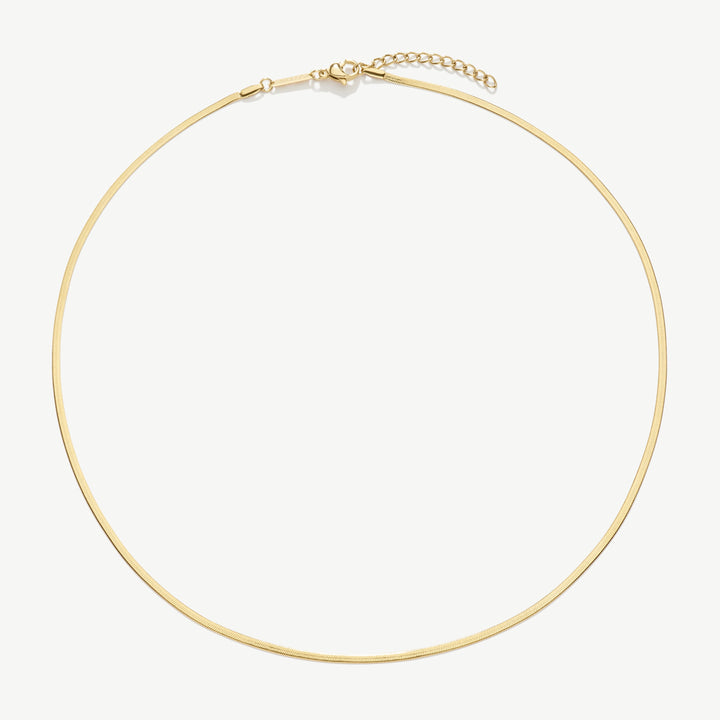 D.Louise Gold Fine Essentials Chain Necklace - Mococo