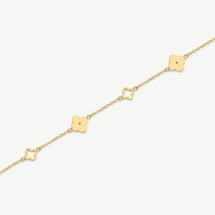 https://cdn.shopify.com/s/files/1/0973/8875/7256/files/Productimage178_6835a707-844f-4bd6-b398-39045b73ba6a.jpg?v=1778198605