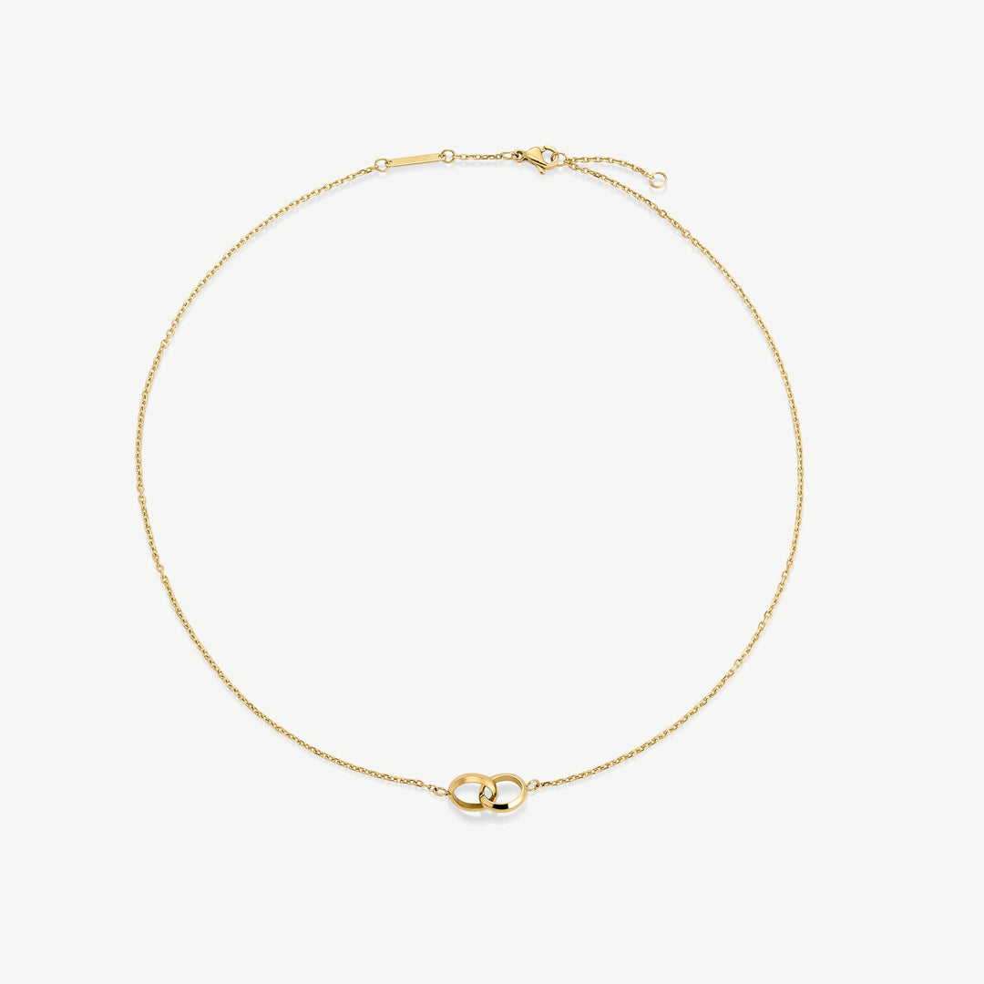 https://cdn.shopify.com/s/files/1/0481/1984/0936/files/Productimage321.jpg?v=1742904910
