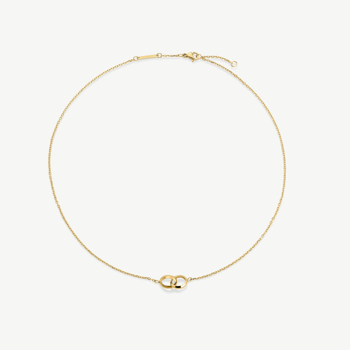 https://cdn.shopify.com/s/files/1/0481/1984/0936/files/Productimage321.jpg?v=1742904910