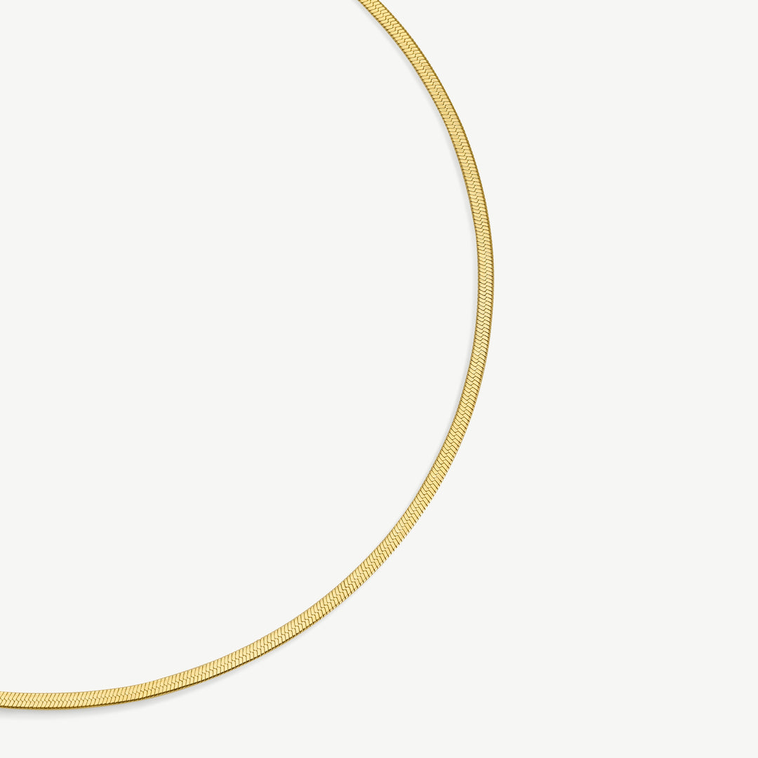D.Louise Gold Fine Essentials Chain Necklace - Mococo