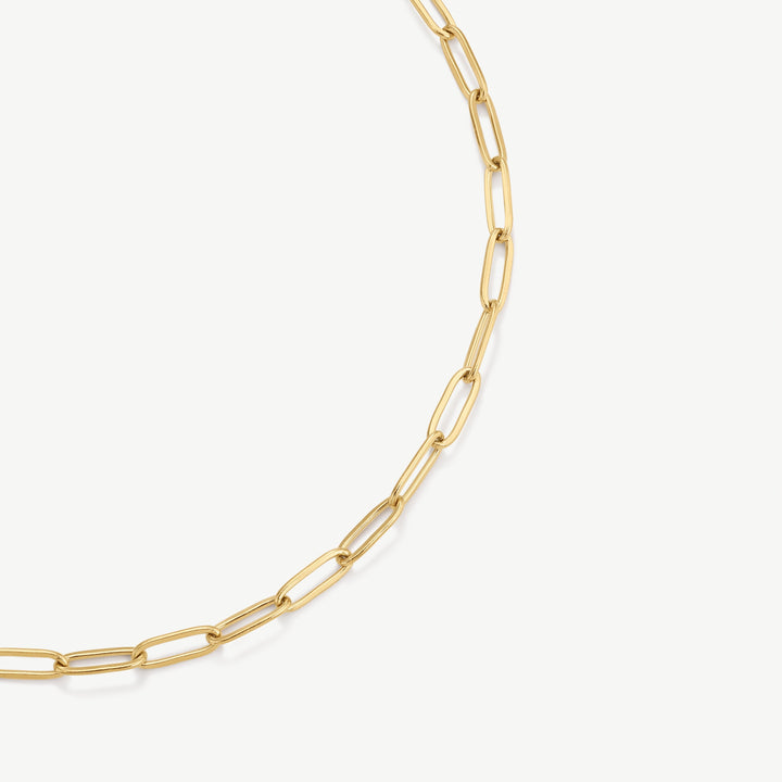 https://cdn.shopify.com/s/files/1/0481/1984/0936/files/Productimage381.jpg?v=1759765442
