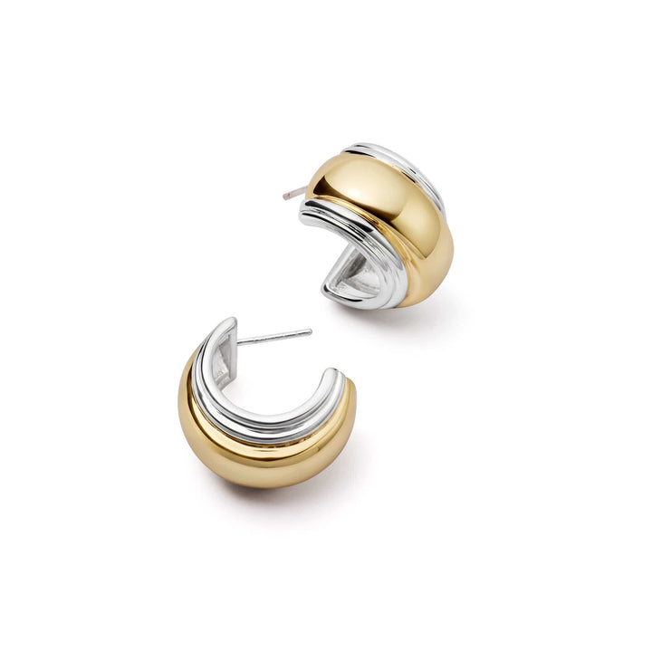 Polly Newman Mixed Metal Bold Hoop Earrings