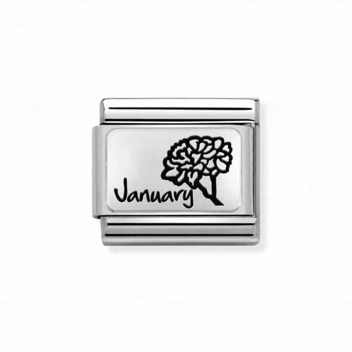 Nomination Classic Silver Birth Month Flower Charm
