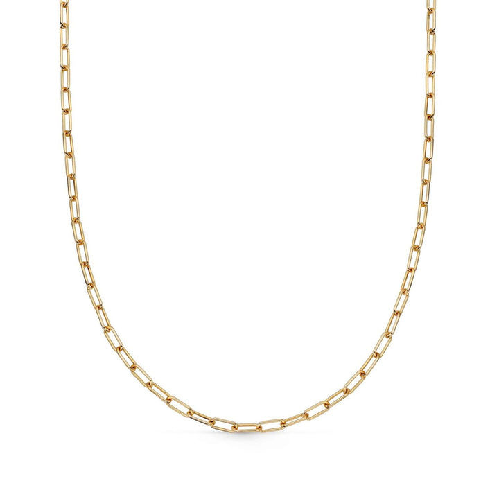 Astley Clarke Gold Paperclip Chain Necklace