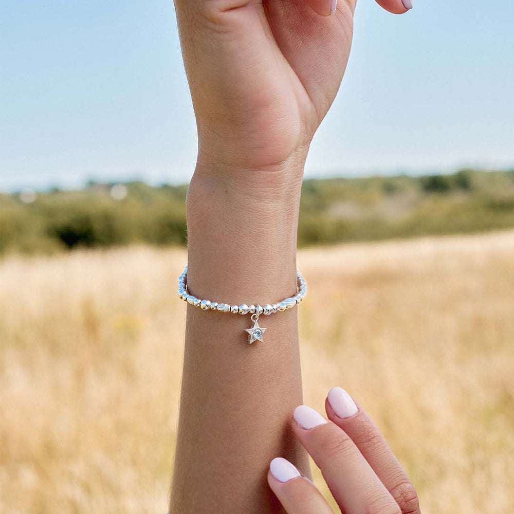 Chlobo 925 Sterling Silver Birthstone Bracelet image 18