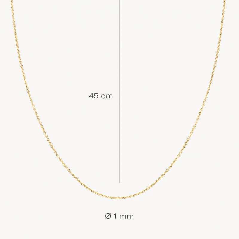 Blush 14ct Solid Gold Anchor Necklace - MococoBlush3046YGO/45Necklaces