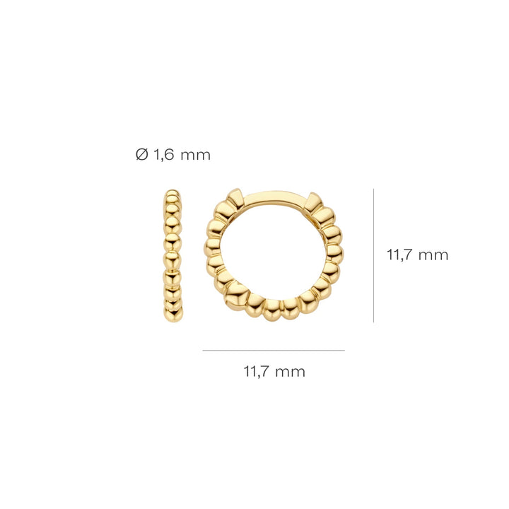 Blush 14ct Solid Gold Dotted Hoop Earrings - MococoBlush7264YGO8720053901872Earrings