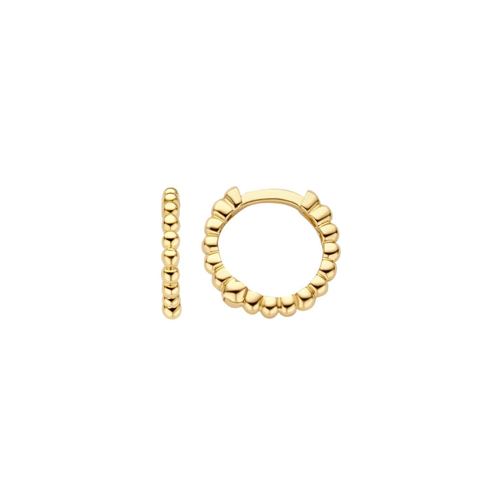Blush 14ct Solid Gold Dotted Hoop Earrings - MococoBlush7264YGO8720053901872Earrings