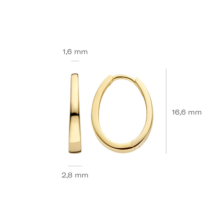 Blush 14ct Solid Gold Medium Hoop Earrings - MococoBlush7278YGOEarrings