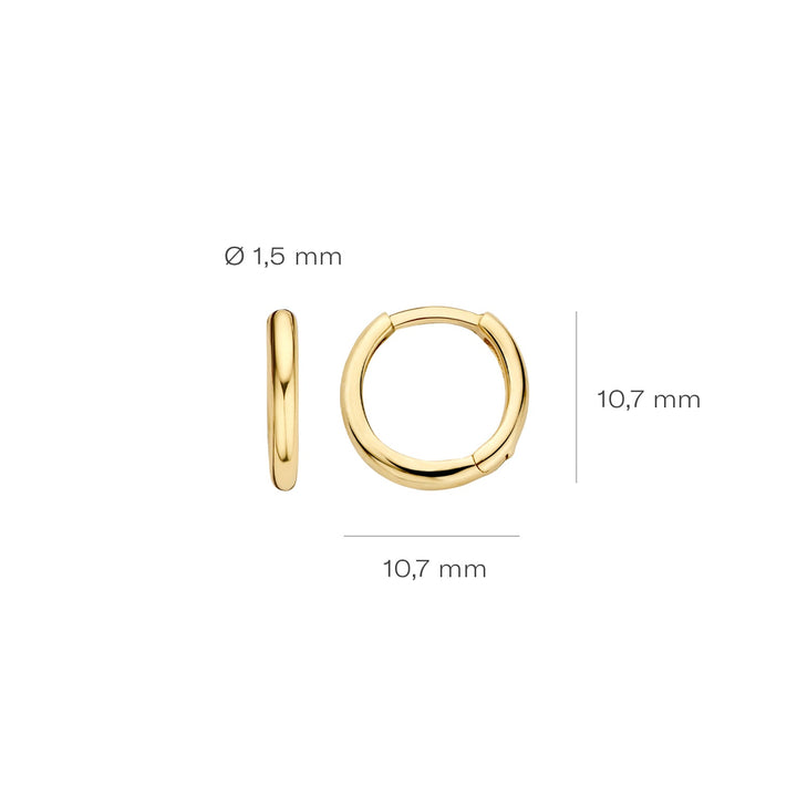 Blush 14ct Solid Gold Round Hoop Earrings - MococoBlush7232YGO8720088127520Earrings