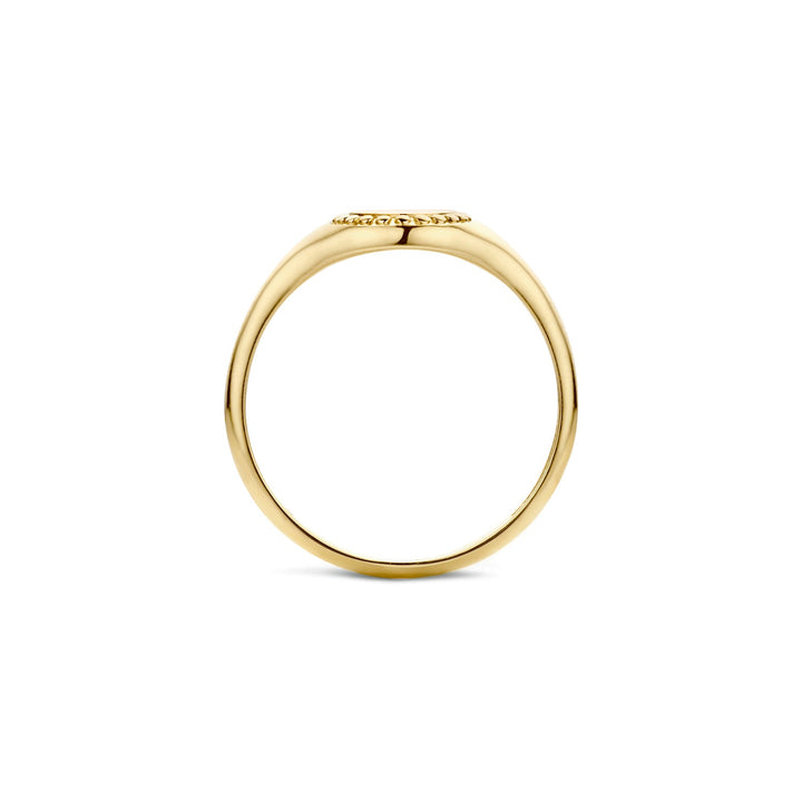 Blush 14ct Solid Gold Signet Ring - MococoBlush1206YGO/54/WEB8720088127001Rings