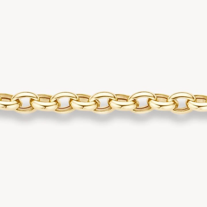 Blush 14ct Yellow Gold Anchor Link Bracelet - MococoBlush2162YGOBracelet