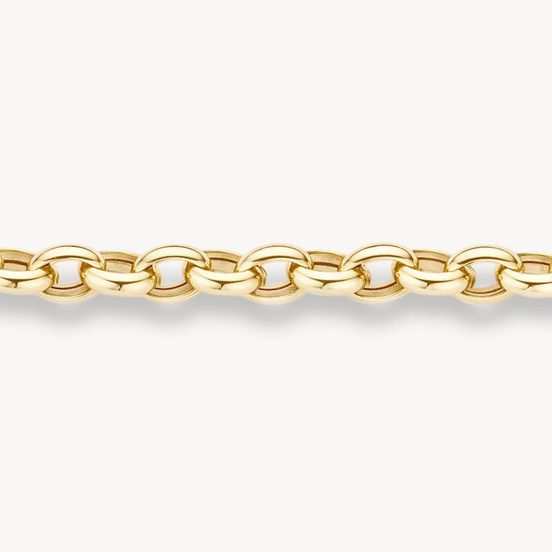 Blush 14ct Yellow Gold Anchor Link Bracelet - MococoBlush2162YGOBracelets