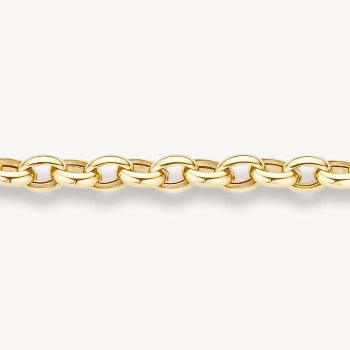 Blush 14ct Yellow Gold Anchor Link Bracelet - MococoBlush2162YGOBracelets