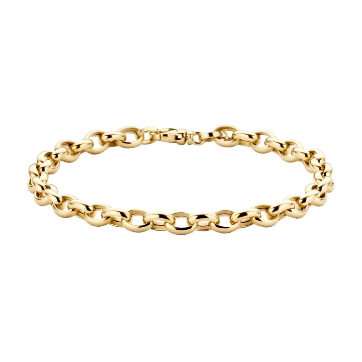 Blush 14ct Yellow Gold Anchor Link Bracelet - MococoBlush2162YGOBracelets