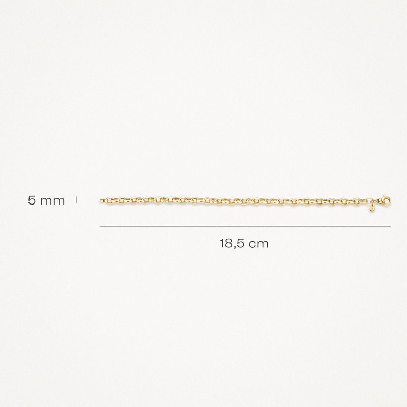 Blush 14ct Yellow Gold Anchor Link Bracelet - MococoBlush2162YGOBracelet
