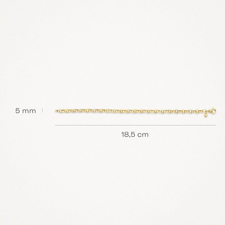 Blush 14ct Yellow Gold Anchor Link Bracelet - MococoBlush2162YGOBracelet