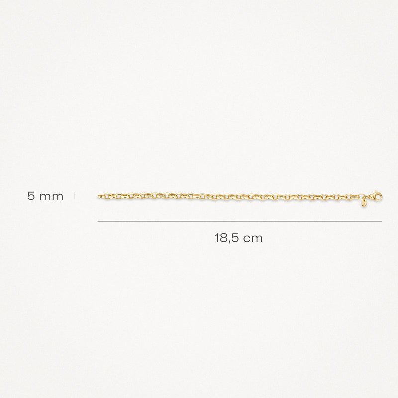 Blush 14ct Yellow Gold Anchor Link Bracelet - MococoBlush2162YGOBracelets