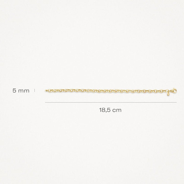 Blush 14ct Yellow Gold Anchor Link Bracelet - MococoBlush2162YGOBracelets
