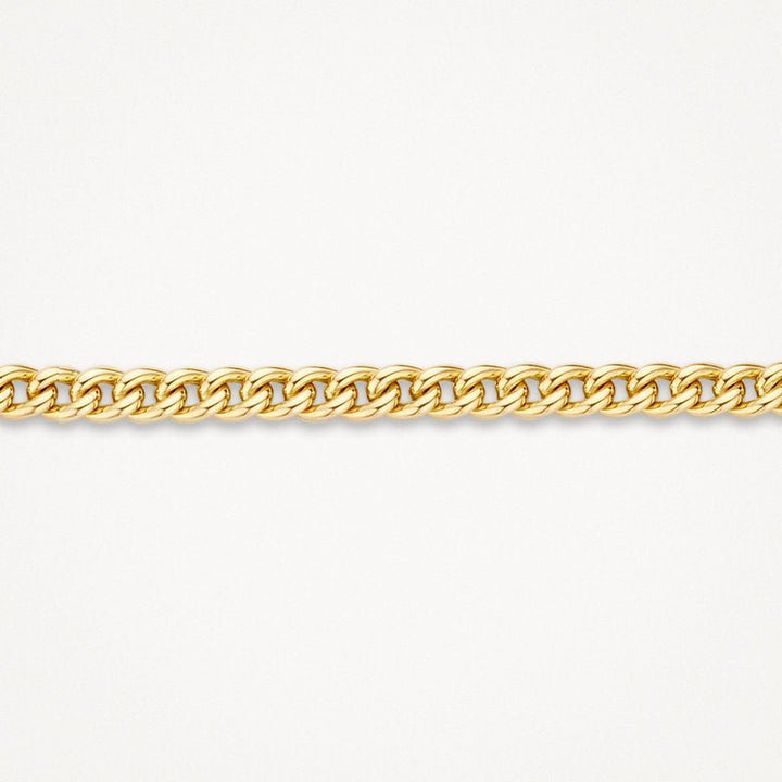 Blush 14ct Yellow Gold Gourmet Link Bracelet - MococoBlush2165YGOBracelets