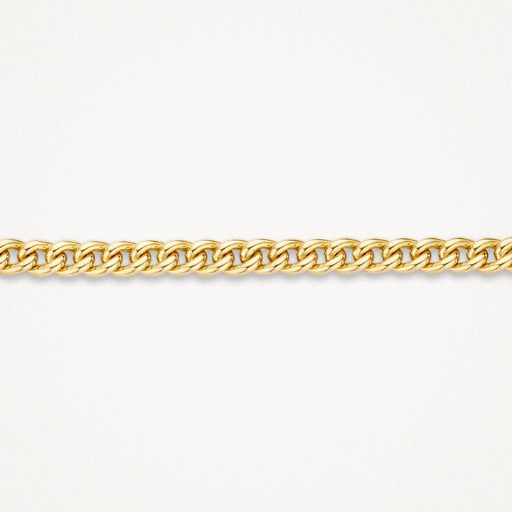 Blush 14ct Yellow Gold Gourmet Link Bracelet - MococoBlush2165YGOBracelet